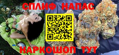 apvp Краснодар