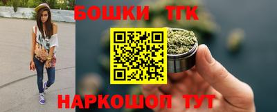 индика Краснознаменск