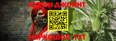 индика Краснознаменск
